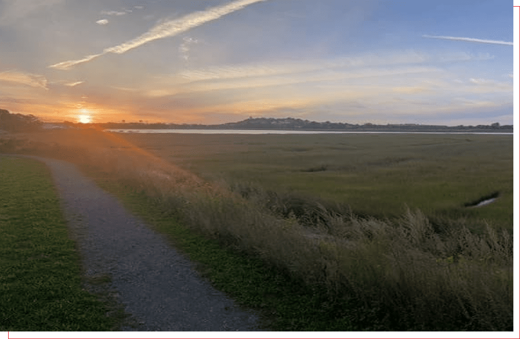 Sunset over a grassy field with a mountain range in the distance.